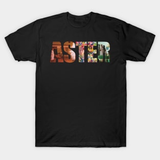 Ari Aster T-Shirt